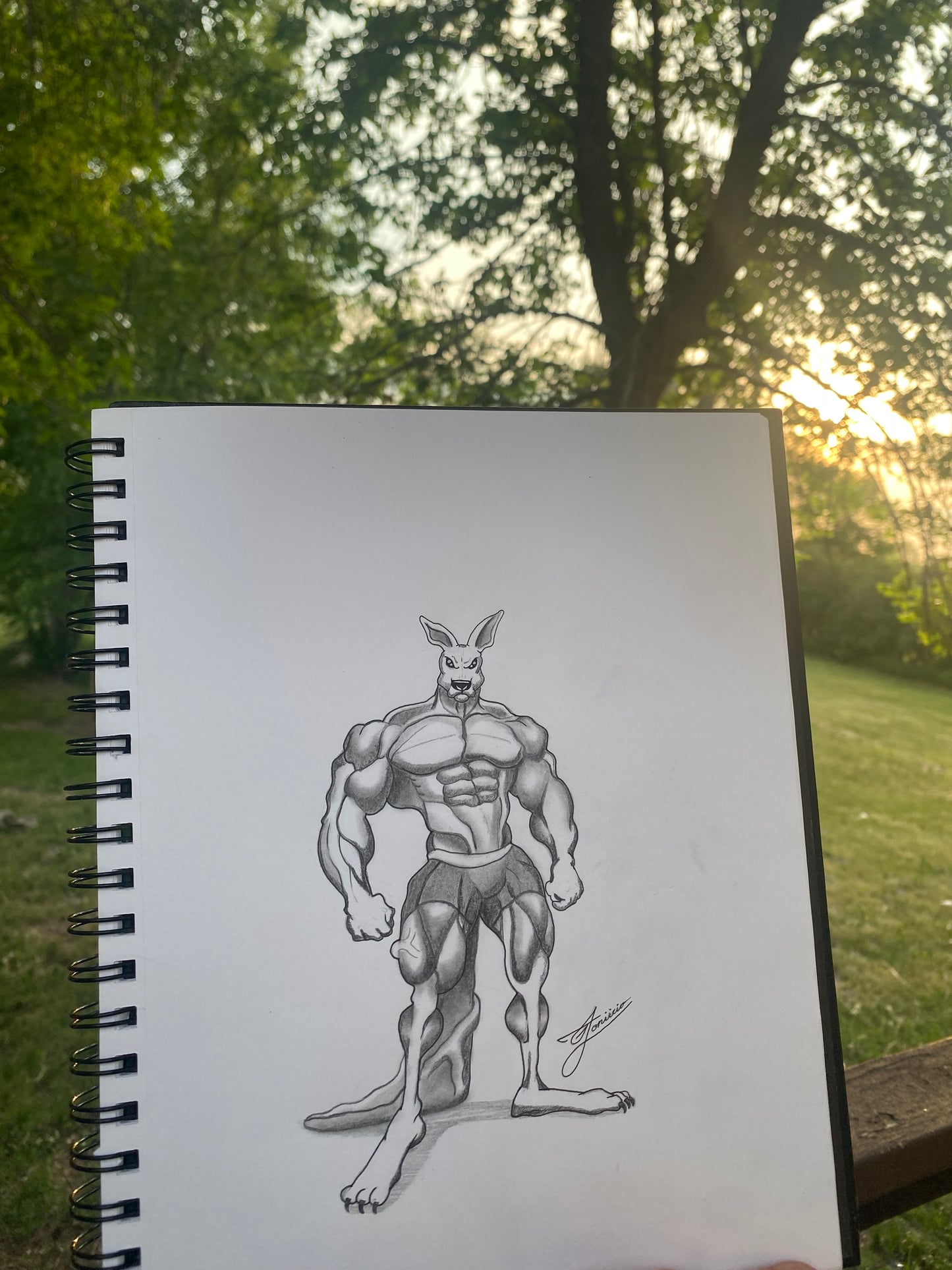 Kangaroo Joey (1/1)