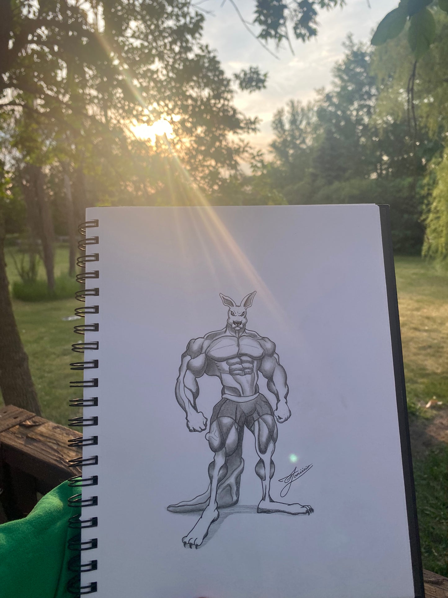 Kangaroo Joey (1/1)